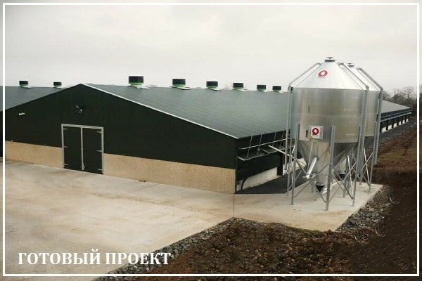 Этапы возведения птицефабрики от завода ВелесТент-чрк